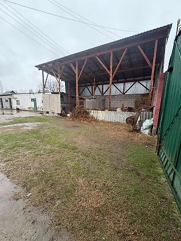 Продажа коттеджей и домов: Просторный дом с отделкой - Планировка: большая гостиная с оконным — 19