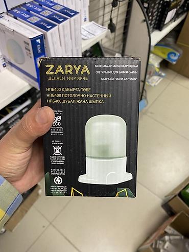 Светильник ZARYA НПБ400 для бани и сауны - Тип монтажа