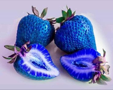 Semena i sadnice: Seme jagode više vrsta
Cena:650din/200 semenki — 9