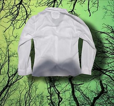 Рубашки: Мужская рубашка, S, M, Lacoste, Новый, цвет - Белый — 2