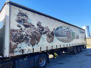 Тягачи: Тягач, MAN, 2005 г., Шторный — 2