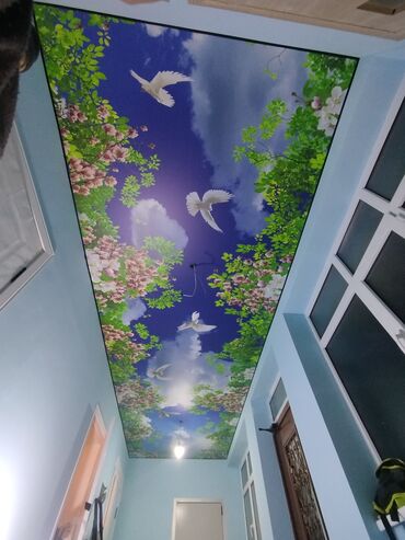 Натяжной потолок: Натяжной потолок Матовое, Глянцевое, 3D потолки Бесплатный замер, Гарантия, Бесплатная консультация — 8