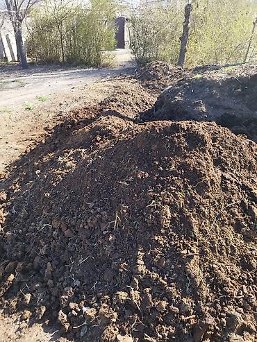 сущь: Плодородная земля/перегной для огорода и сада. Описание: - Темная — 1