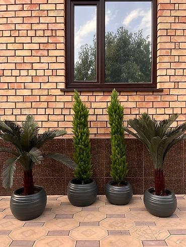 хвойные растения: Instagram: Mayram.decor.kg Искусственное дерево с пышной зеленой — 6
