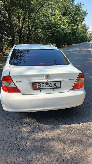 highlander 2: Toyota Camry: 2003 г., 2.4 л, Автомат, Бензин, Седан — 5