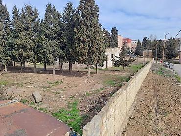 Torpaq sahələrinin satışı: 25 sot, Kupça (Çıxarış) — 9