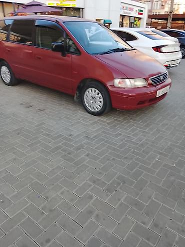 мини ман: Honda Odyssey: 1995 г., Автомат, Бензин, Минивэн — 1