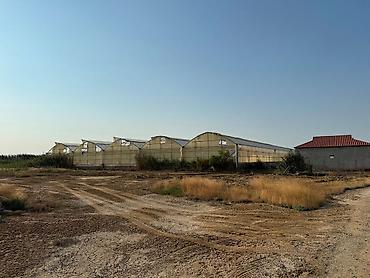 киндер осд в баку: Salyan rayonu, Qaraçala qəsəbəsində 1 hektar xüsusi mülkiyyətə aid — 1
