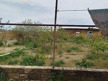 ağdaş ev: 5 otaqlı, 120 kv. m, Kredit yoxdur, Orta təmir — 5
