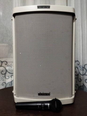 динамики на авто: Продаю активную колонку- комбик Японского бренда Roland ba55 в
