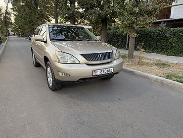 ерекс 330: Lexus RX: 2004 г., 3.3 л, Автомат, Бензин, Кроссовер — 1