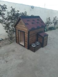 Yuvalar: It və pişik yuvaları — 14