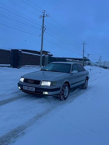 e53 amg: Audi 100: 1992 г., Механика, Газ, Седан — 7