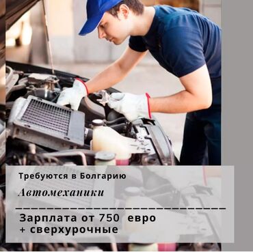 эмираты работа: Срочный набор в Болгарию! АВТОМЕХАНИКИ Зарплата от 750 евро г