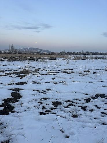 Продажа участков: 5 соток, Для строительства, Красная книга, Договор купли-продажи — 4