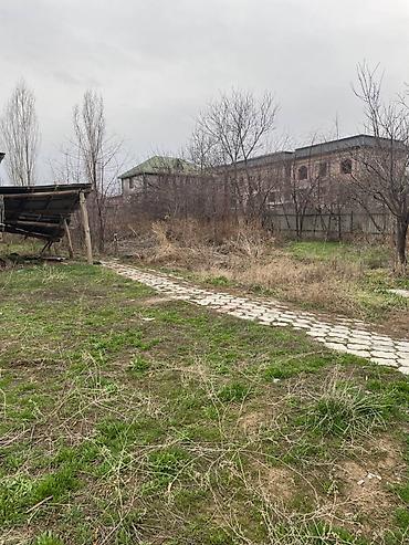 vip: 20 соток, Для сельского хозяйства, Красная книга, Тех паспорт — 3