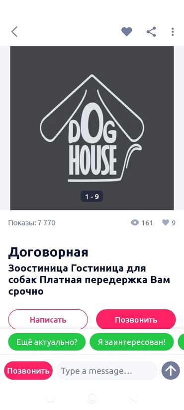мишка на заказ: ?остиница DOG HOUSE — платная передержка собак - Круглосуточный