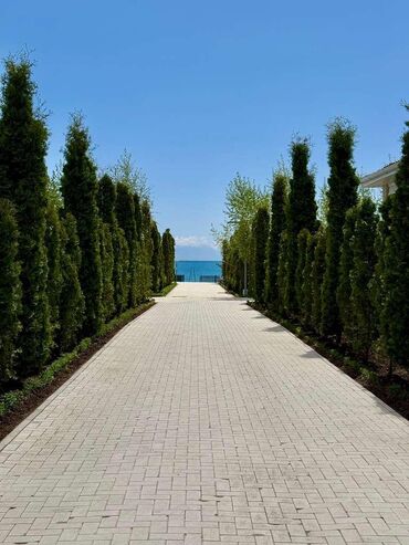 Продажа квартир: 2 комнаты, 40 м², Индивидуалка, 3 этаж, Косметический ремонт at lalafo.kg — 10 Продажа квартир: 2 комнаты, 40 м², Индивидуалка, 3 этаж, Косметический ремонт — 10