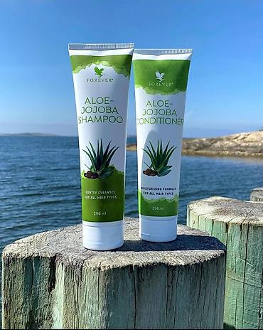 ailə qurmaq: Forever Aloe-Jojoba saç baxım seti Məhsullar: - Aloe-Jojoba Shampoo – — 1