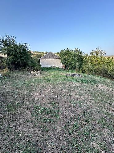 Torpaq sahələrinin satışı: 22 sot, Mülkiyyətçi, Bələdiyyə — 2
