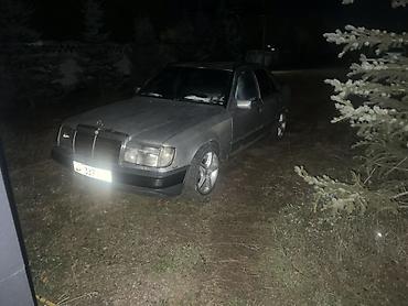 Mercedes-Benz W124: 1987 г., 2.6 л, Автомат, Бензин, Седан — 2