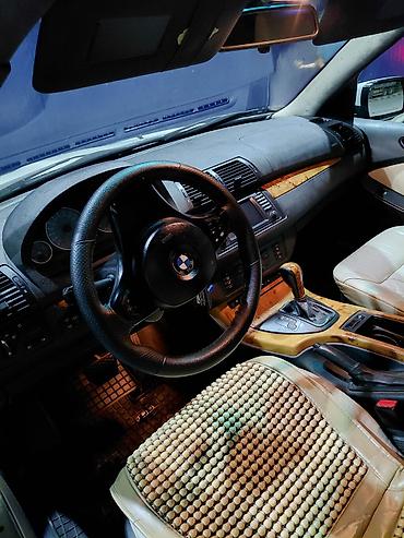 вдоль реки: BMW X5: 2005 г., 4.8 л, Автомат, Бензин, Кроссовер — 10