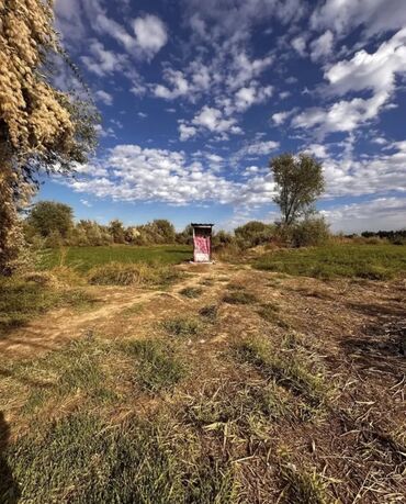 Продажа участков: 217 соток, Для сельского хозяйства, Красная книга — 1