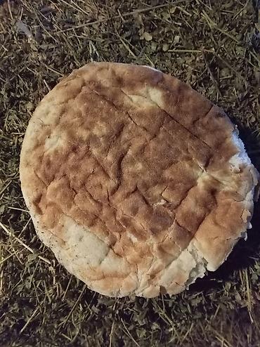 Qida məhsulları: Boyat çörək 7 qəpik çox alana çatdırılma var — 1