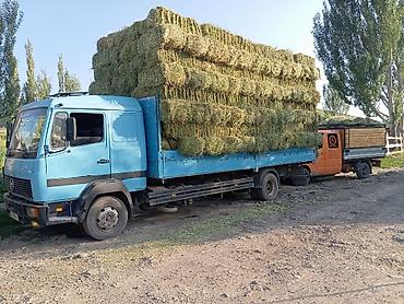 саната уф: Mercedes-Benz : 1997 г., 6 л, Механика, Дизель, Универсал — 5