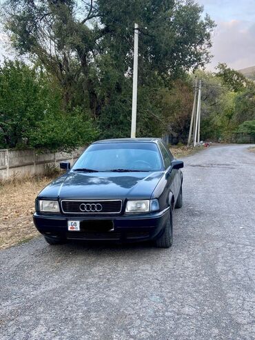 Audi: Audi 80: 1992 г., 2 л, Механика, Газ, Седан
