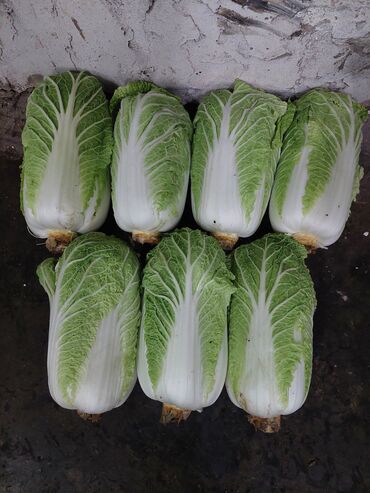 тёрка для овощей: Пекинская капуста 0,8-2кг