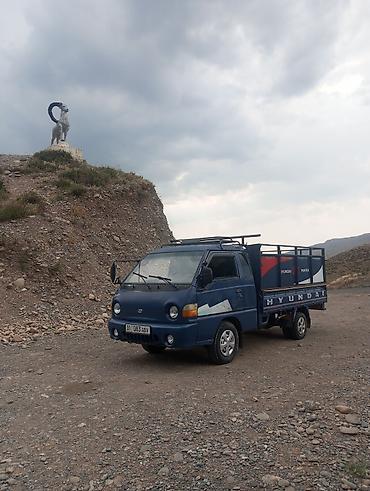 китайский кемпер: Hyundai Porter — компактный бортовой грузовик - Тип кузова: бортовая — 2