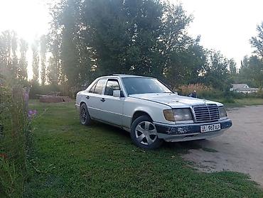 Mercedes-Benz W124: 1996 г., Седан