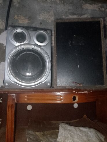 Dinamiklər və kolonkalar: LG Kolonka, Növ - Akustik, rəng - Gümüşü — 1