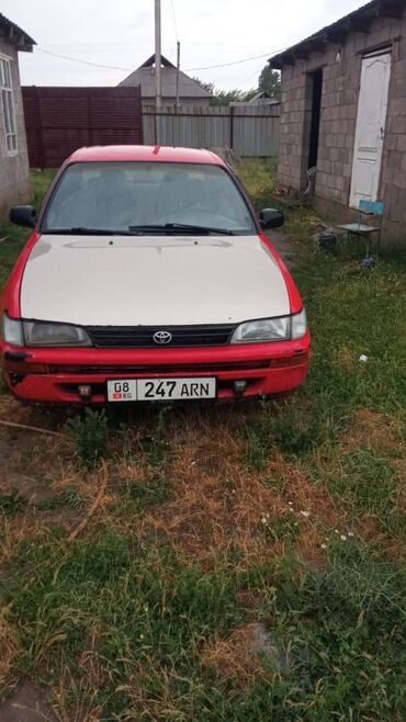 Toyota: Toyota Corolla: 1996 г., 1.6 л, Автомат, Бензин, Седан