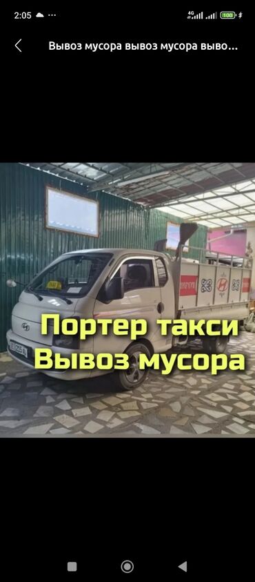 кролики фландр крол крольчата бабочка: Портер такси вывоз мусора Портер такси Портер такси вывоз мусора