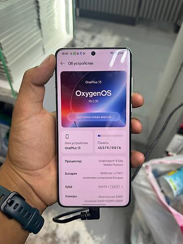 ophone 17: OnePlus 13, Б/у, 512 ГБ, цвет - Синий, 2 SIM — 2