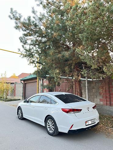 stud 100: Hyundai Sonata: 2018 г., 2 л, Автомат, Газ, Седан — 8