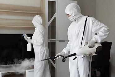 Дезинфекция, дезинсекция: Дезинфекция, дезинсекция, | Тараканы, Вирусы, микробы, Муравьи, | Подвал, погреб, Офисы, Транспорт — 3