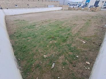 Torpaq sahələrinin satışı: 6 sot, Tikinti, Kupça (Çıxarış) — 8