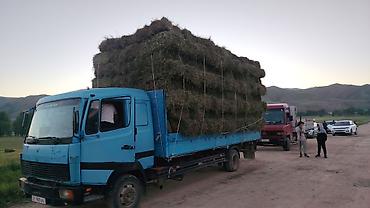 тс кg: Грузовик, Mercedes-Benz, Дубль, 7 т, Б/у — 6