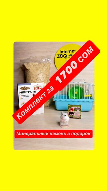 бамбуковая мышь: Клетка с хомячком + корм + пачка опилок+ минеральный камень для