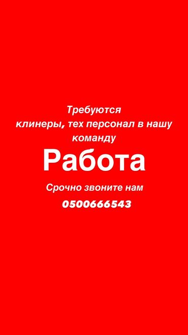 Уборщицы: Требуется Уборщица, Оплата Ежедневно