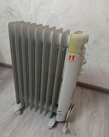 radiator pec: Pulsuz çatdırılma, Ödənişli çatdırılma, Rayonlara çatdırılma — 2
