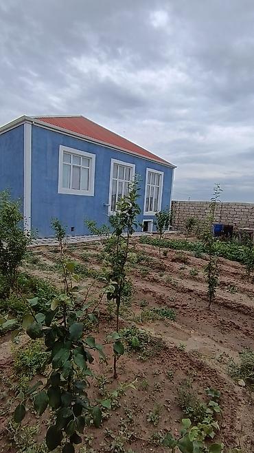 xalqlar dostlugu satilan evler: 5 otaqlı, 120 kv. m, Kredit yoxdur, Orta təmir — 1
