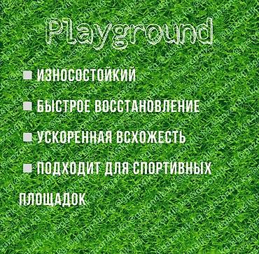 Газон: Семена европейского газона DLF (Дания) по оптовым ценам! ✅В наличии — 13