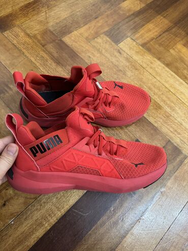 puma обувь: Кроссовки Пума, оригинал, 39 размер