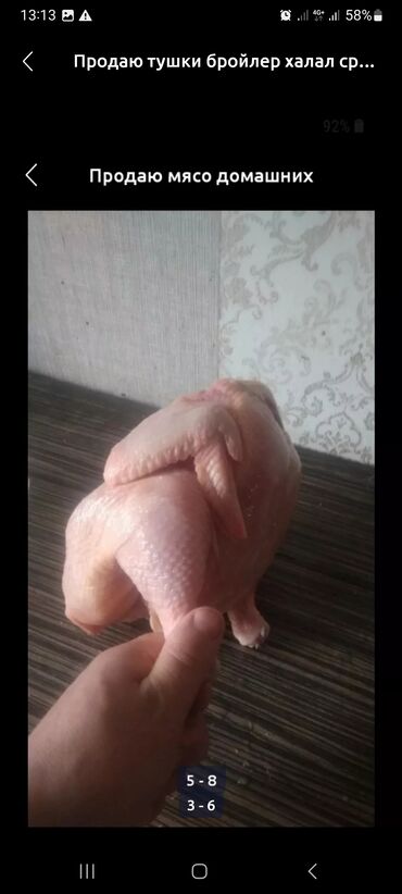 Птица: Бройлер :, 2 кг, 3 кг — 5