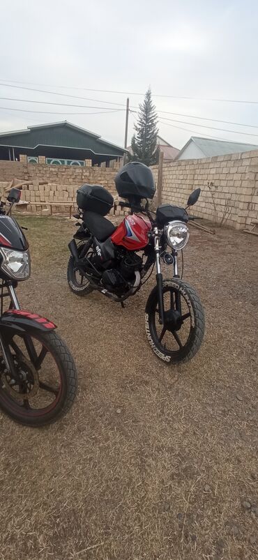 variator sürətlər qutusu: Yamaha - YAMAHA, 200 см3, 2019 год, 9999 км