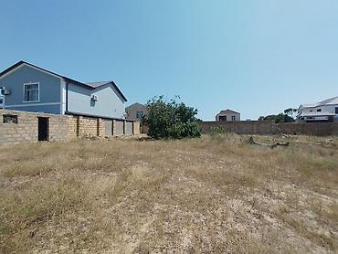 Torpaq: 20 sot, Tikinti, Mülkiyyətçi, Kupça (Çıxarış) — 3